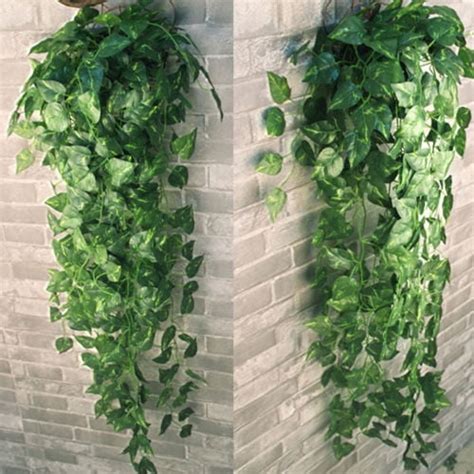 Artificial Trailing Plants