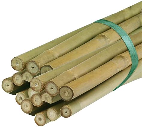 Heavy Duty Bamboo Canes