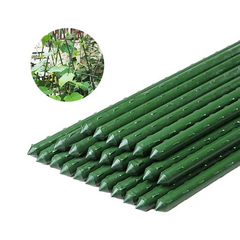 Garden Plant Support Stakes
