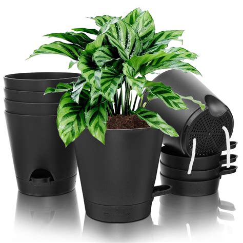Elegant Plant Pots