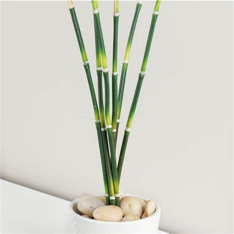 Artificial Bamboo Branches