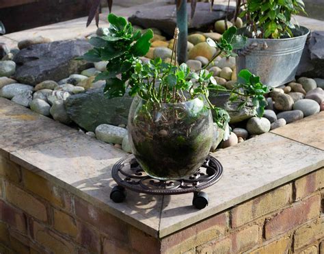Modern Plant Stands