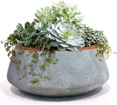 Ceramic Succulent Plant Pot Set