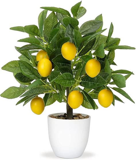 Artificial Lemon Plant in Pot