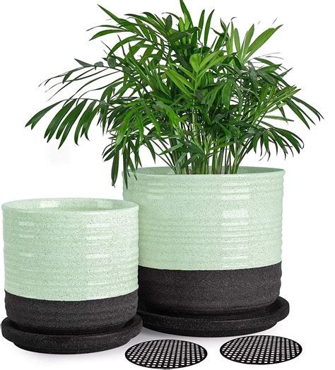 Succulent Planter Pots