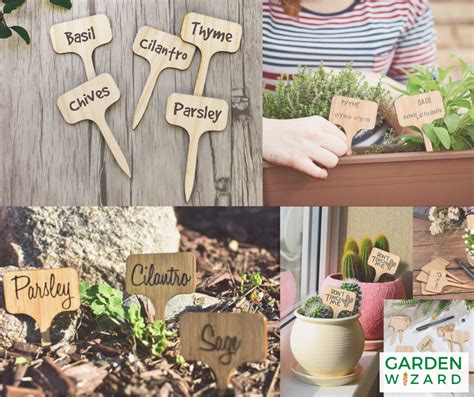 Choosing the Right Plant Labels for Your Garden: A Comprehensive Guide