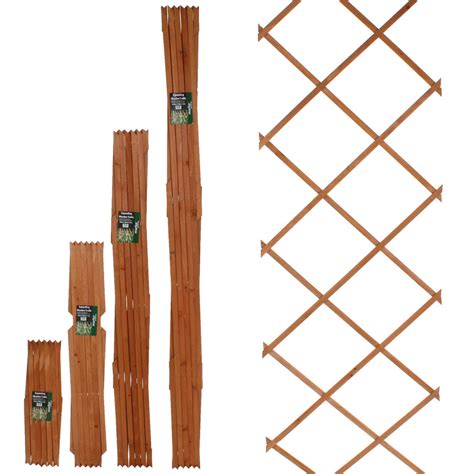 Choosing the Right Trellis for Your Garden: Styles, Uses, and Installation Tips