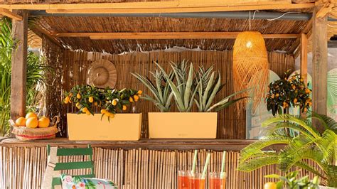 Creating Your Own Trendy Tiki-Style Garden Bar: A Guide to Outdoor Entertainment