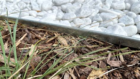 Enhance Your Garden with Durable Galvanised Steel Lawn Edging