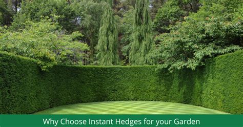 Exploring Instant Hedging and Screening Options for Gardens