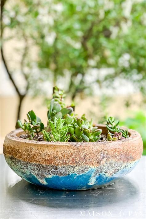 How to Create a Stunning Succulent Arrangement in the Perfect Pot