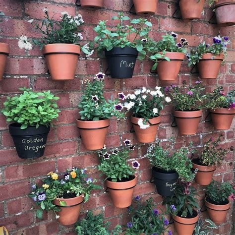 Maximizing Garden Space: How to Choose the Right Plant Pots and Hangers