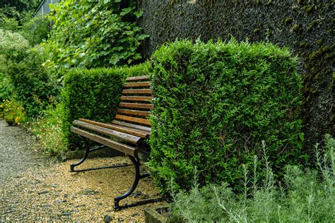 Understanding Garden Screening: Benefits and Options