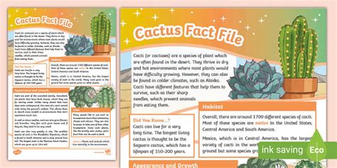 Understanding the Growth and Care of Indoor Cacti: A Comprehensive Guide