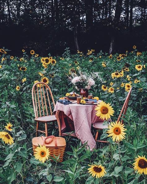 How Can Seed Trays Enhance Your Gardening Experience?